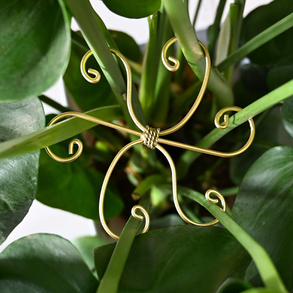 Goooxim Monstera stem stake assembly keeps vines upright for healthy indoor growth.