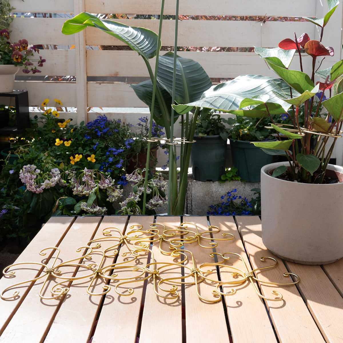 Goooxim plant growth stability with 5.5-inch stakes for Monstera and cacti.