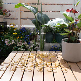 Goooxim plant growth stability with 5.5-inch stakes for Monstera and cacti.