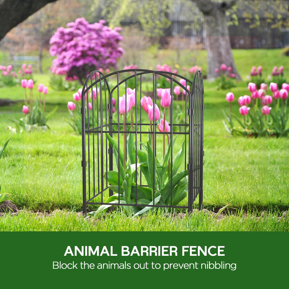 Goovilla garden fence protecting pet play area.