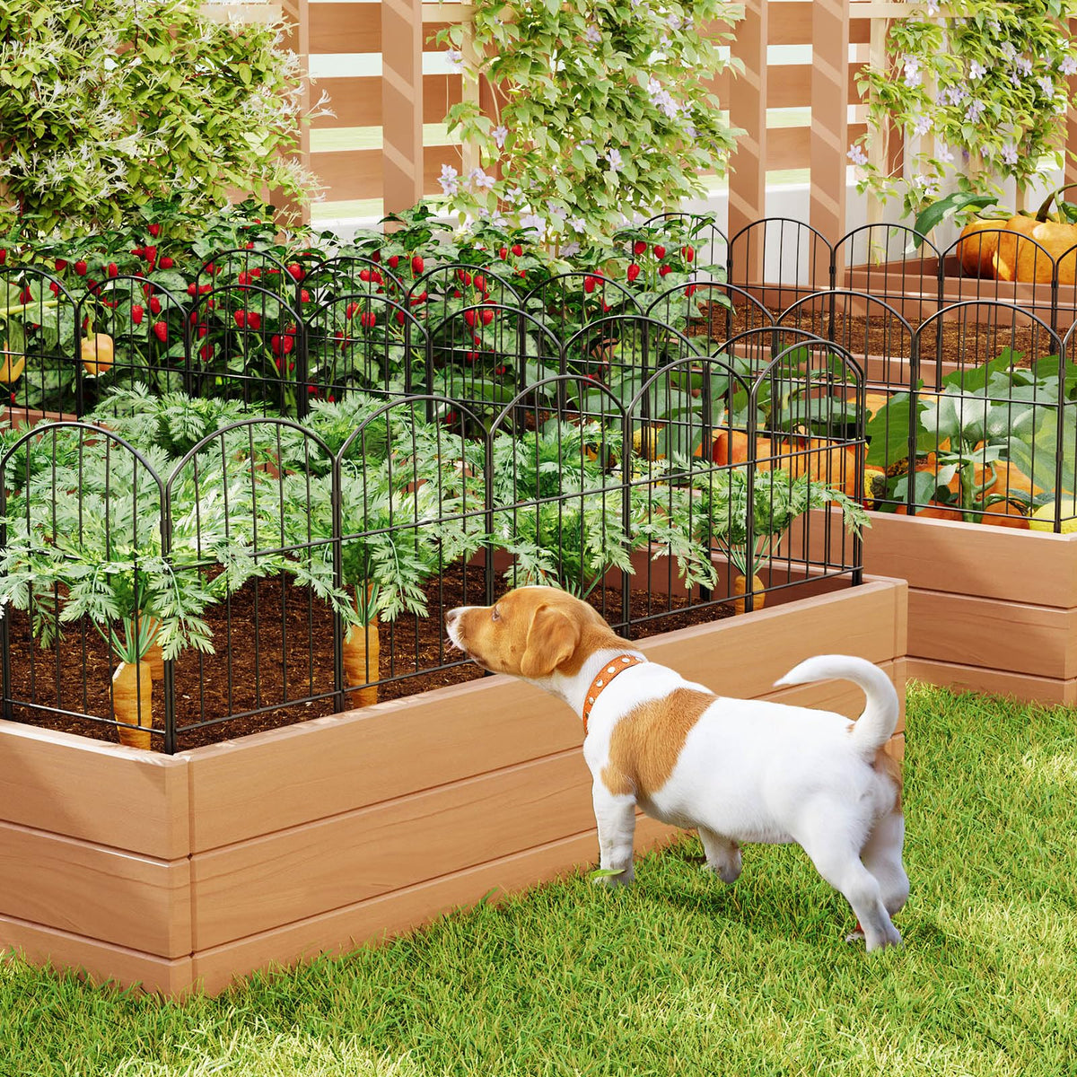 Goovilla garden fence with rustproof finish for durability.
