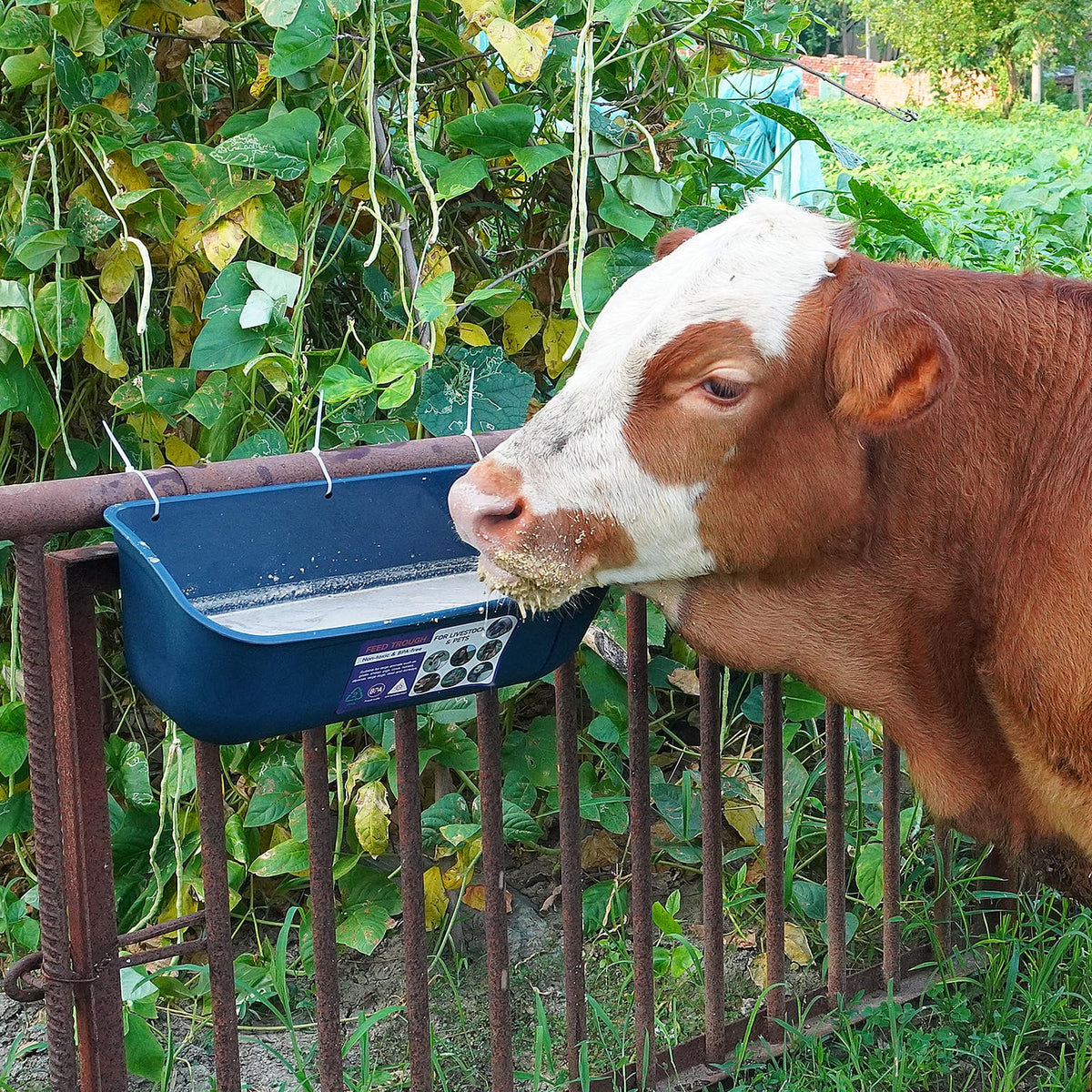 Goovilla blue feeder designed for large animals and organized meals.