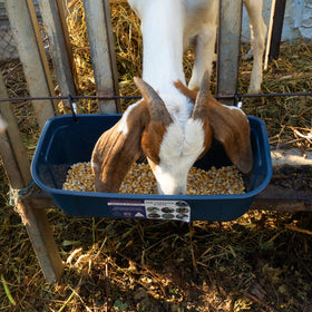 Goovilla trough interior is smooth for easy cleaning.
