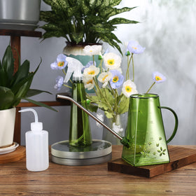Goowin spray bottle shows mist option for humidity-loving plants.