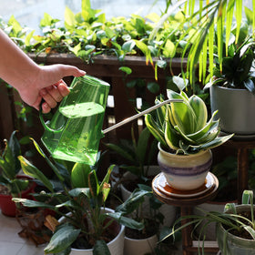 Goowin watering can with enlarged opening for easy filling.