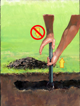 GopherHawk single trap in use demonstrates quick above-ground capture with easy pest disposal