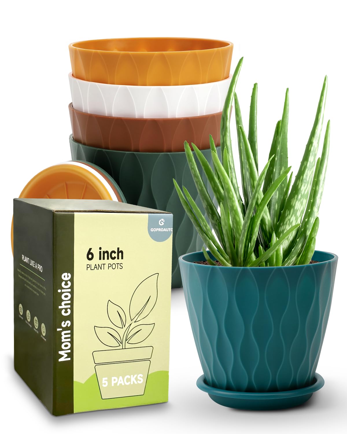 Goproauto 6-inch indoor planter with drainage hole and tray for thriving houseplants.