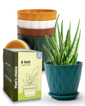 Goproauto 6-inch indoor planter with drainage hole and tray for thriving houseplants.