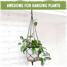 Goproauto contemporary design complements home decor while growing plants.