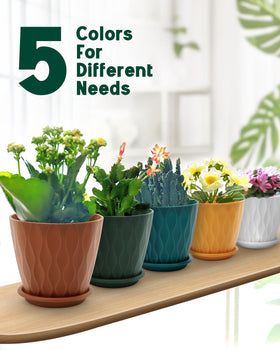 Goproauto indoor/outdoor planter fits herbs and blooms.