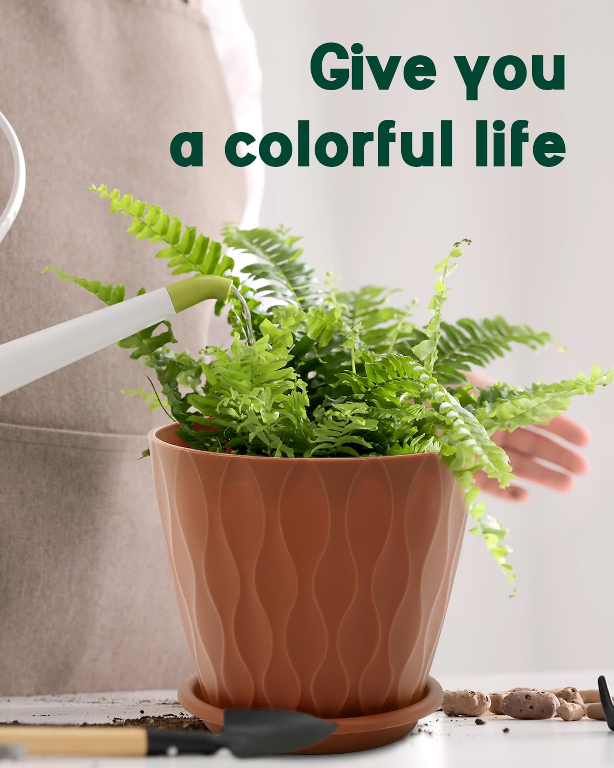 Goproauto multicolor planter pots add vibrant color accents.