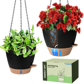 Goproauto self-watering planter with water window showing moisture level