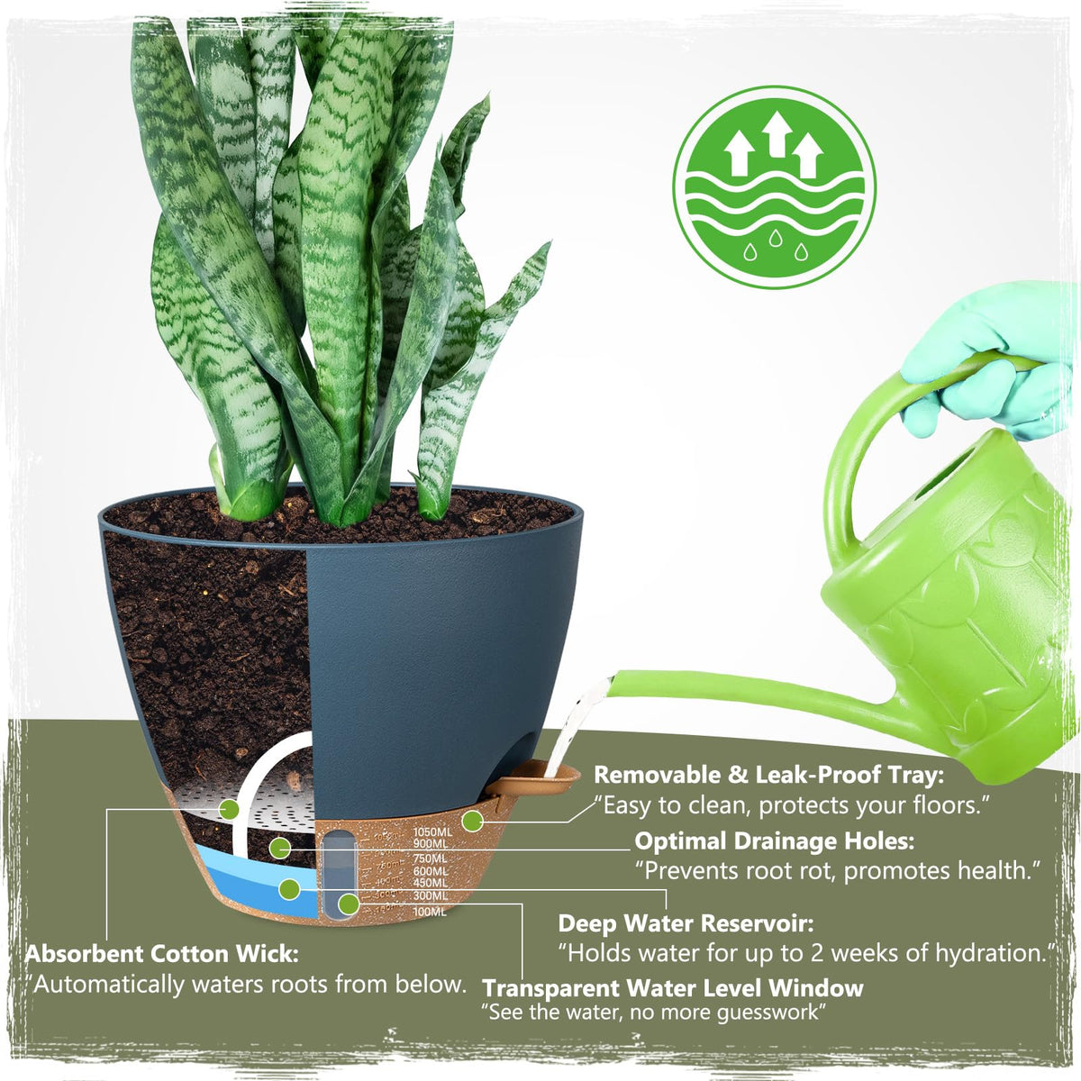 Goproauto self-watering pot 10-inch blue supports medium houseplants with steady moisture.