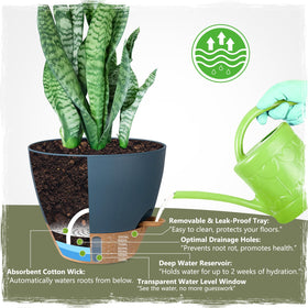 Goproauto self-watering pot 10-inch blue supports medium houseplants with steady moisture.