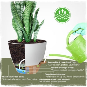 Goproauto self-watering pot 10-inch white suits monstera and peace lilies.