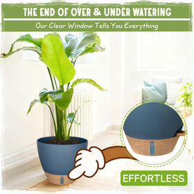 Goproauto self-watering pot 12-inch blue suits large foliage like fiddle leaf figs.