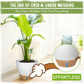 Goproauto self-watering pot 12-inch white fits large fiddle leaf figs.