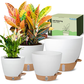 Goproauto self-watering pot 6-inch white maintains steady moisture for herbs.