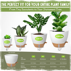 Goproauto self-watering pot 8-inch white keeps table plants hydrated evenly.