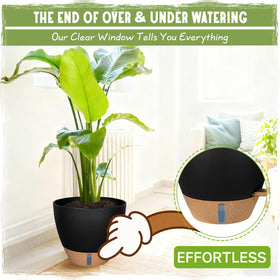 Goproauto 12-inch planter ideal for large specimens such as fiddle leaf fig