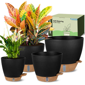 Goproauto 6-inch self-watering pot with visible water level window for precise care