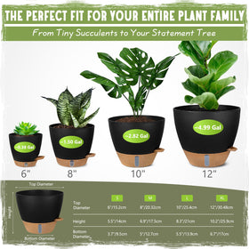 Goproauto 8-inch planter suitable for tabletop greenery and herbs
