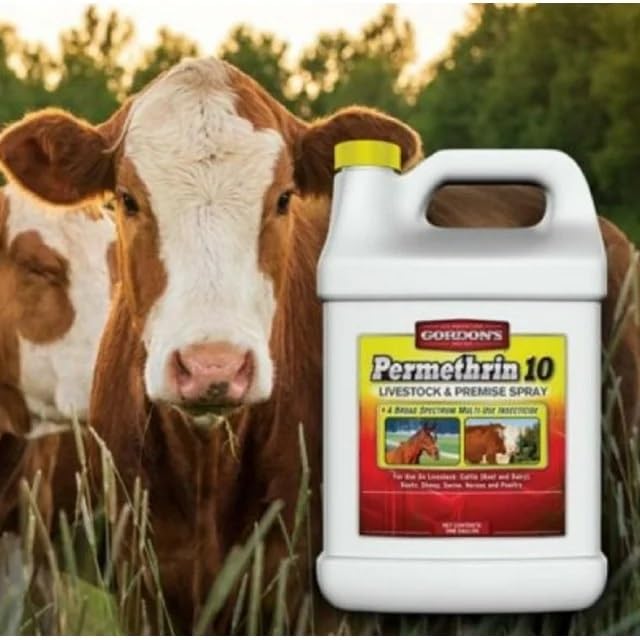Gordon's Permethrin 10 application in a dairy barn setting.