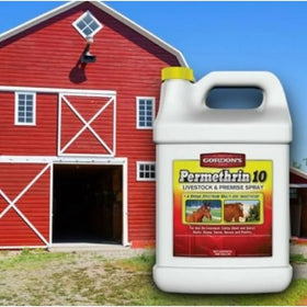 Gordon's Permethrin 10 concentrate being prepared for premises spray.