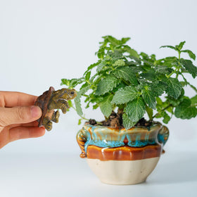Gosknor tortoise figure hanger as a delightful plant gift option.
