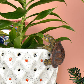 Gosknor indoor outdoor garden turtle hanger for versatile use.