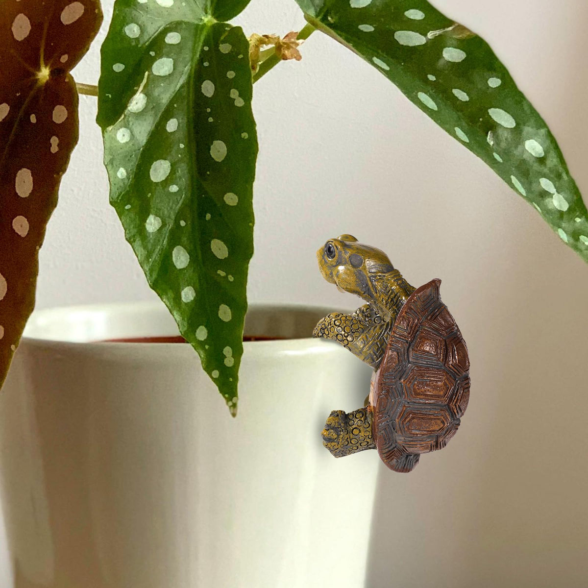 Gosknor terrarium decor turtle hanger brightens any setup.