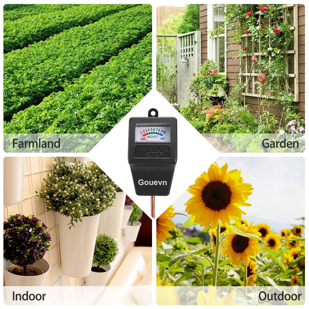 Gouevn moisture meter helps simplify plant watering routine.