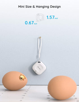 Govee hygrometer thermometer app control for remote monitoring.