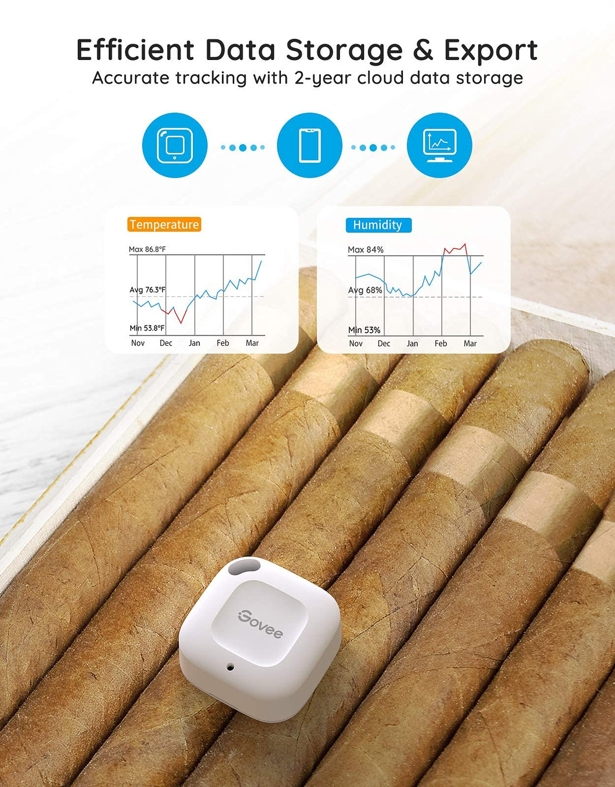 Govee hygrometer thermometer onboard storage and CSV export capability.