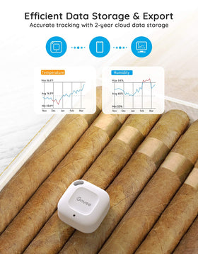 Govee hygrometer thermometer onboard storage and CSV export capability.