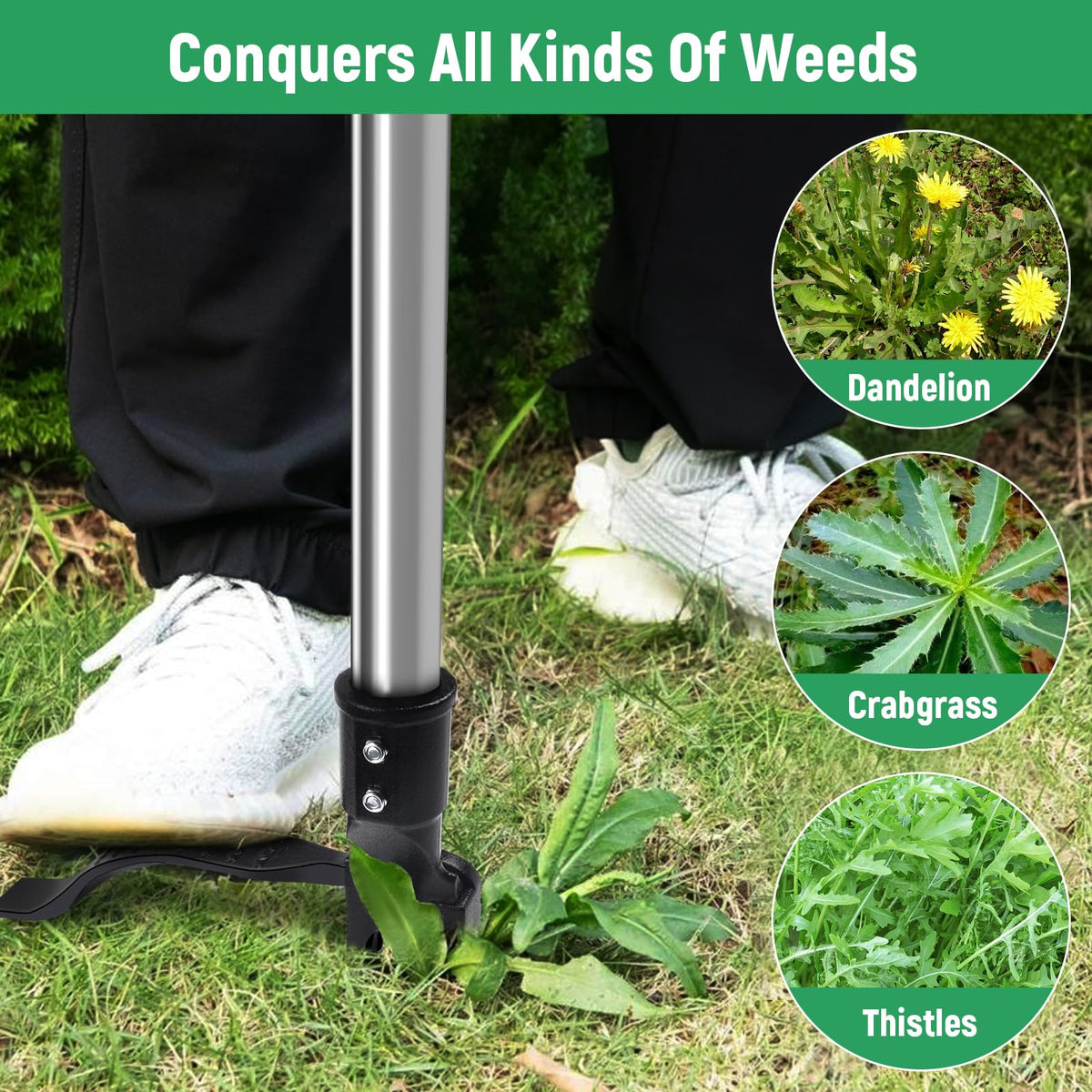 GOXAWEE stainless steel handle ensures durability during extended weeding sessions.