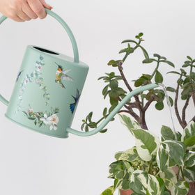 Grace and August hummingbird artwork on the watering can adds decor