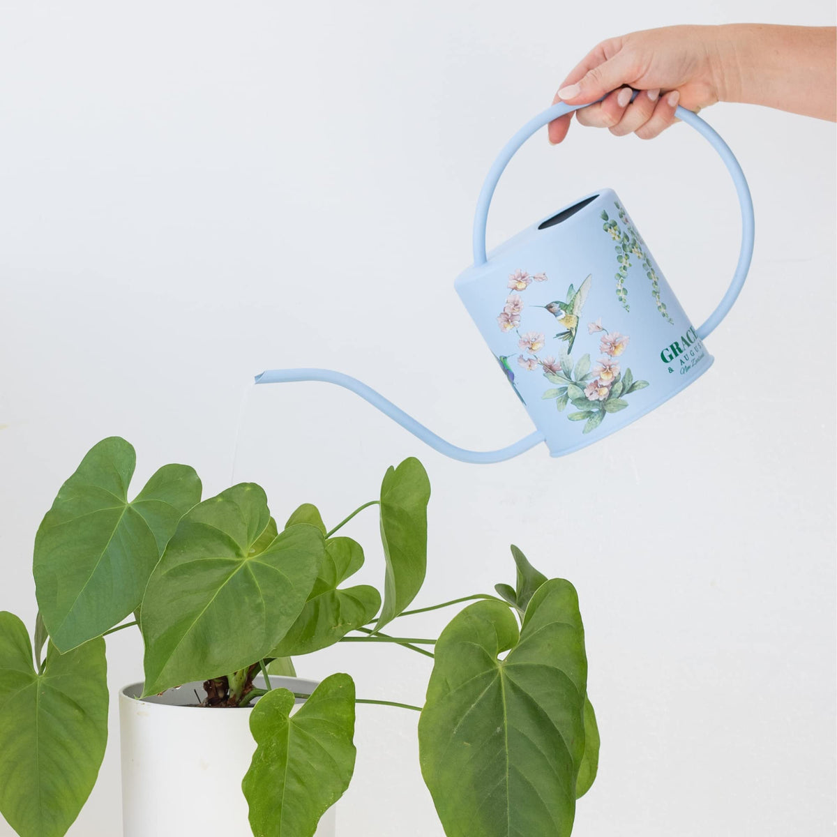 Grace and August rust proof metal watering can stays durable with daily use