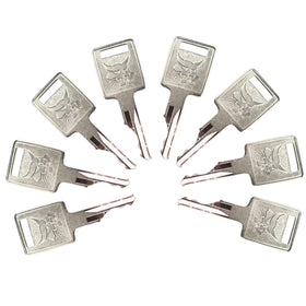 Gradora D250 ignition keys close-up showing durable construction for quick replacements