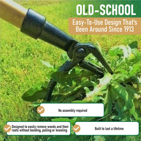 Grampa's Weeder 4-claw head digs and lifts weeds cleanly from soft soil.