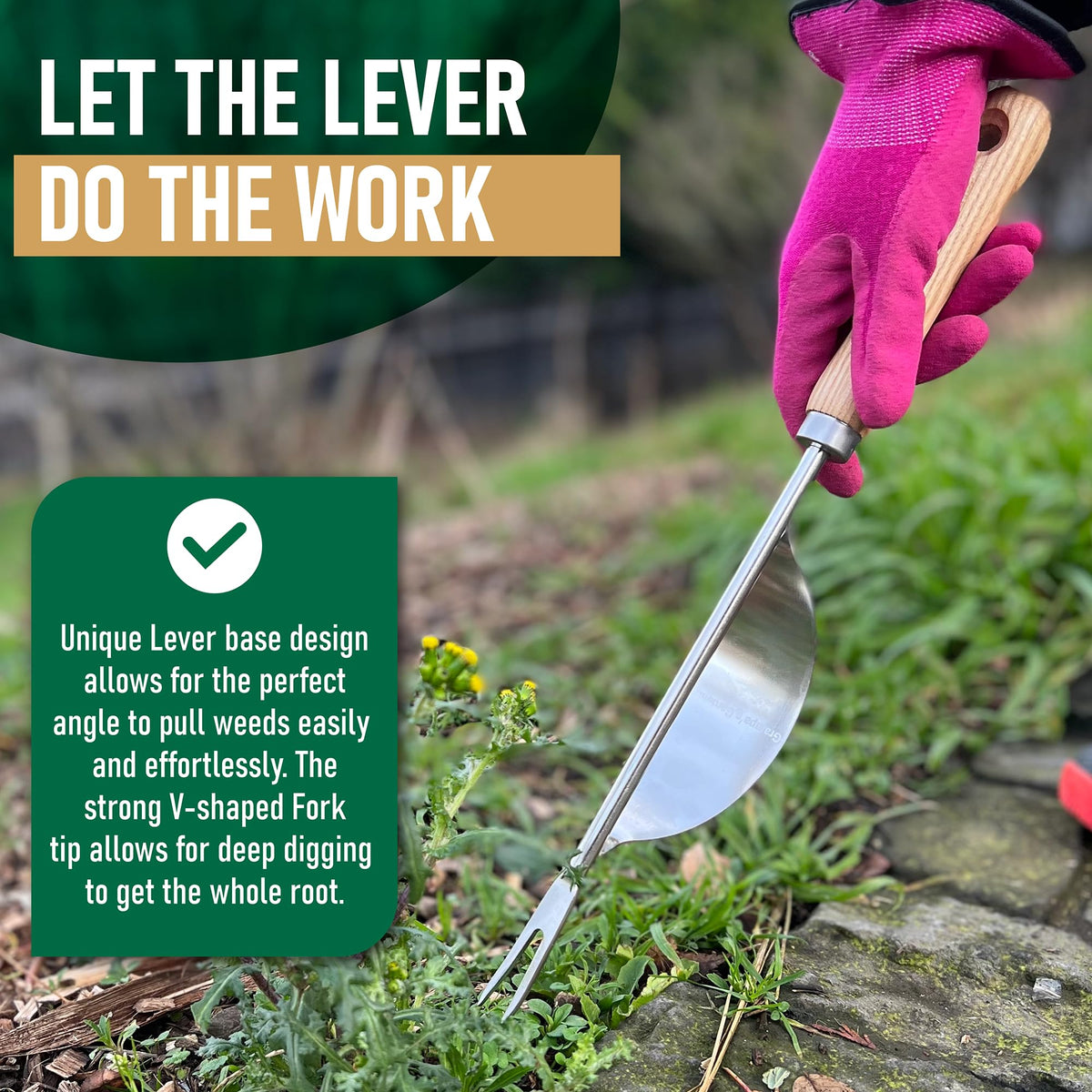 Grampa's Weeder in garden setting showing chemical-free weed removal.