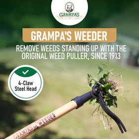 Grampa's Weeder long-handle 45-inch design lets you reach weeds without kneeling.