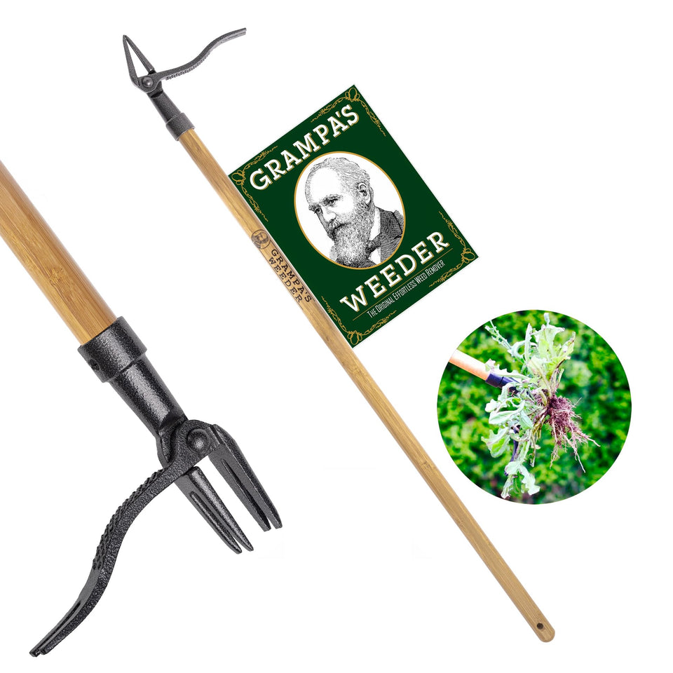 Grampa's Weeder stand-up weed puller with a long handle reduces bending for easier weeding.