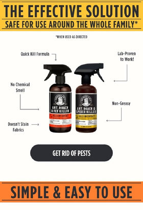 Grandpa Gus's bug spray applied to baseboards and window frames for targeted control