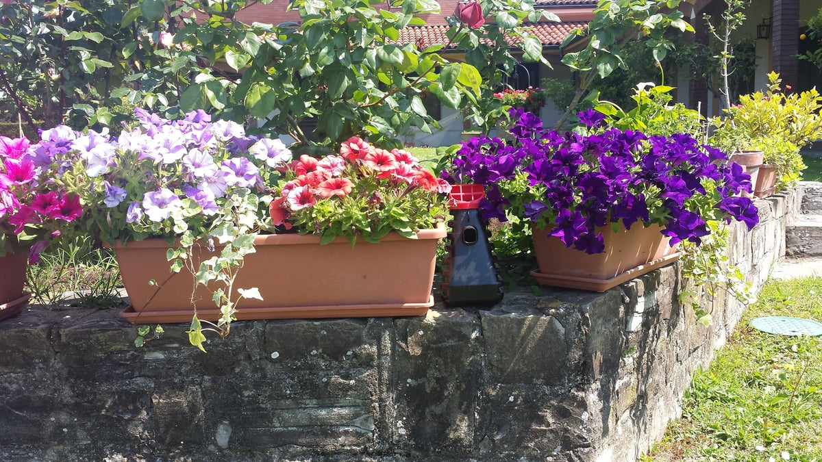 Grandpa Gus's formula uses plant-based essential oils for pest control.