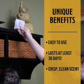 Plant-based spider repellent in a basement with a fresh scent.