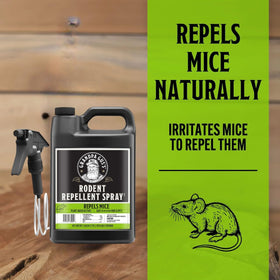 Grandpa Gus's Rodent Repellent spray-action shows quick indoor protection against mice.