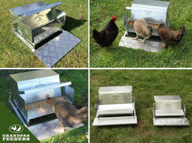 Grandpa's Feeders feeder with lid on highlighting weather protection