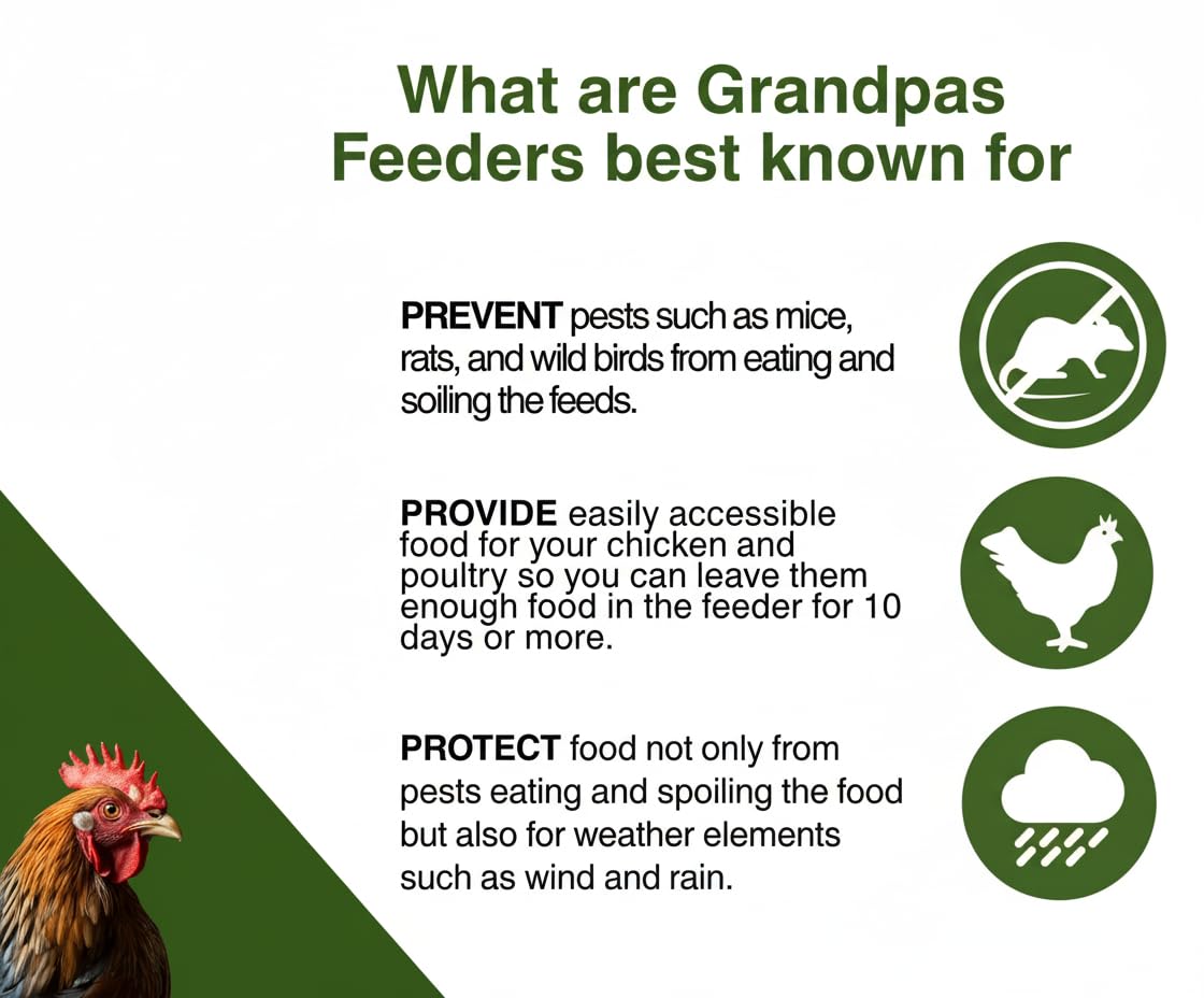 Grandpa's Feeders feed-on-demand keeps chickens fed on schedule.