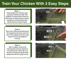Grandpa's Feeders feeds six chickens for up to ten days